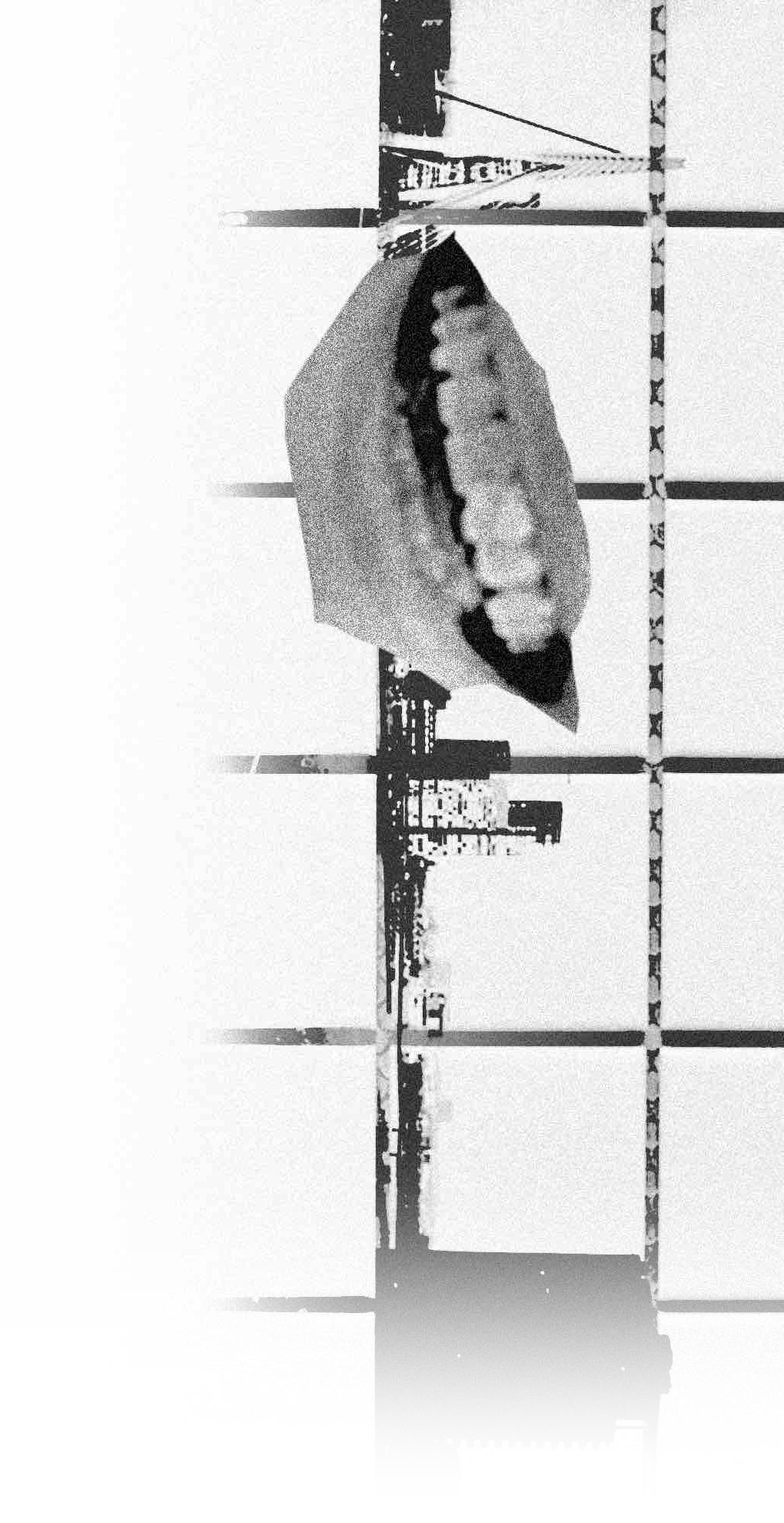 zine-pt-12