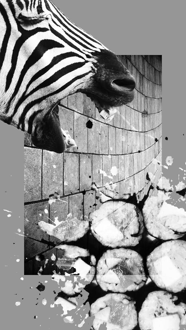 zine-pt-20