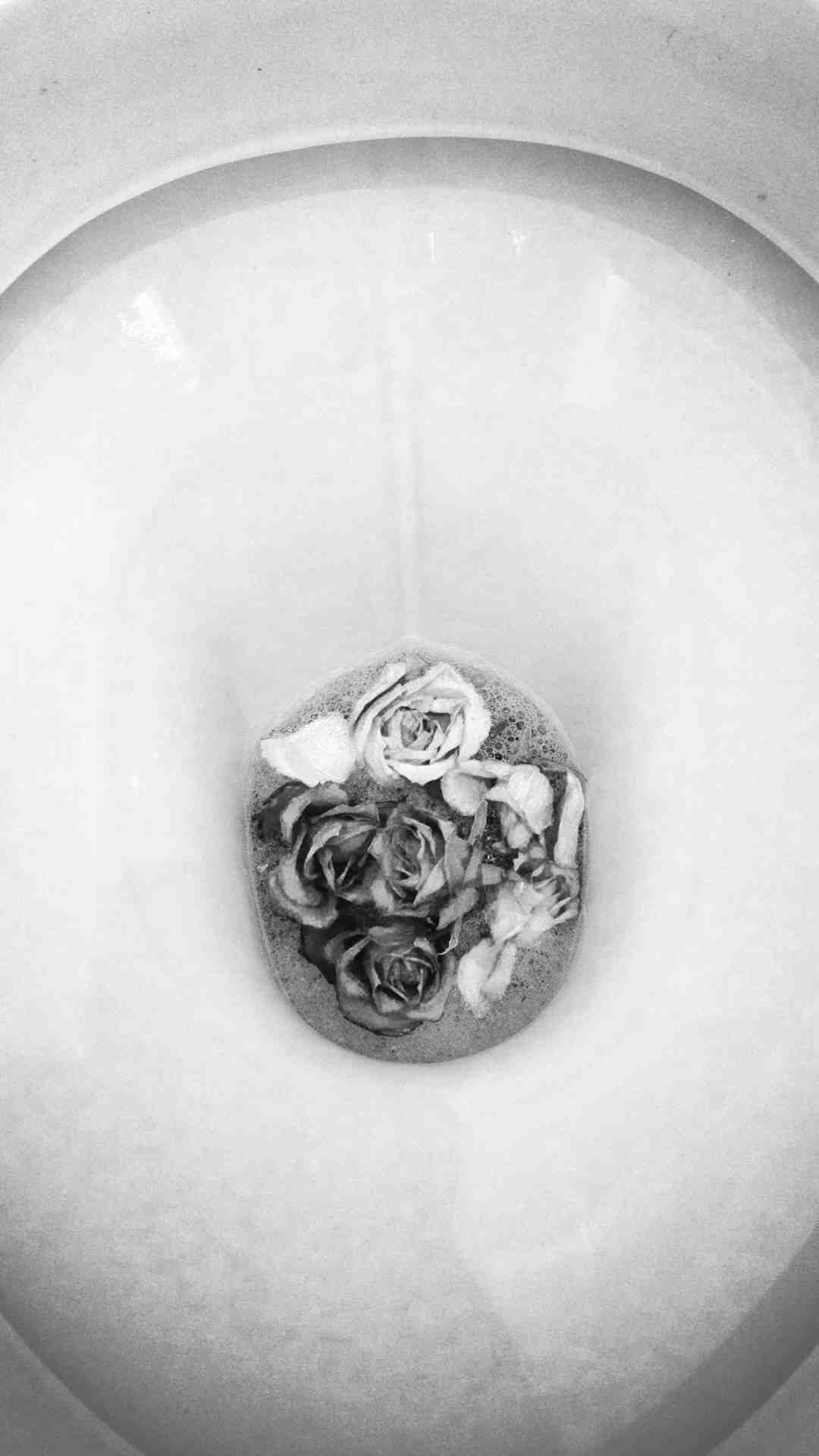 zine-pt-24